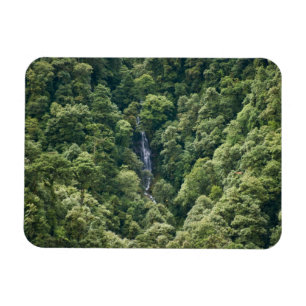 Íman Floresta do Himalaia no vale de Mangdue, Butão