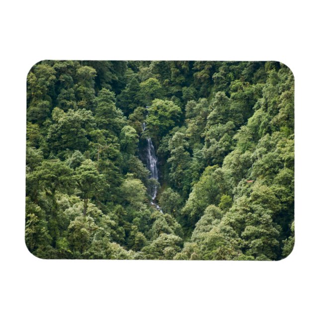 Íman Floresta do Himalaia no vale de Mangdue, Butão (Horizontal)
