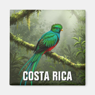 Íman Floresta em nuvem de Quetzal Monteverde