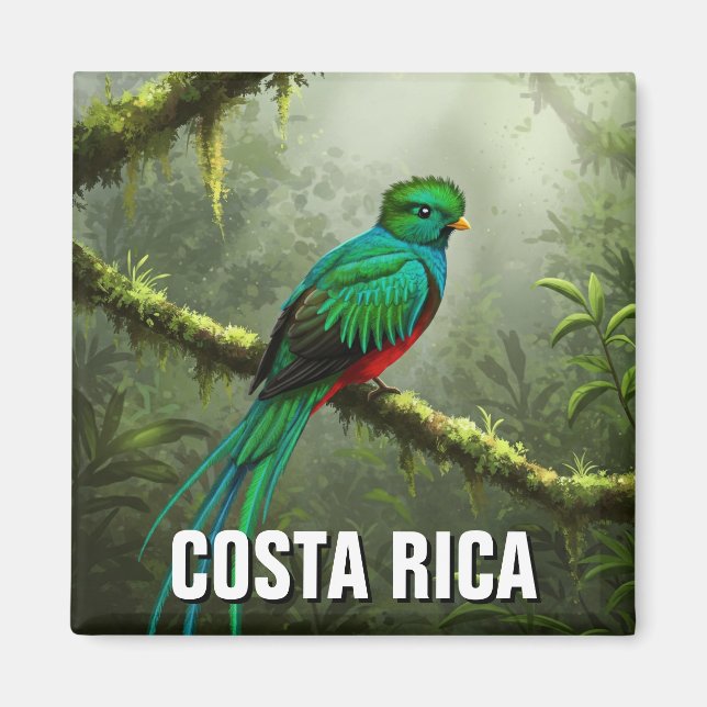 Íman Floresta em nuvem de Quetzal Monteverde (Frente)