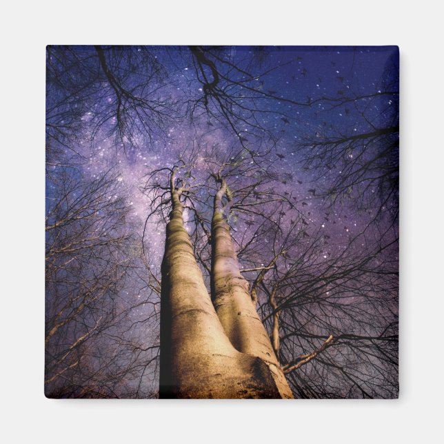 Íman Floresta Encantada (Frente)