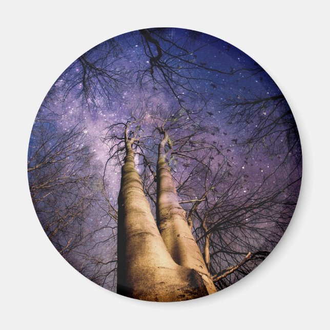 Íman Floresta Encantada (Frente)