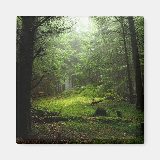 Íman Floresta Estérica (Frente)