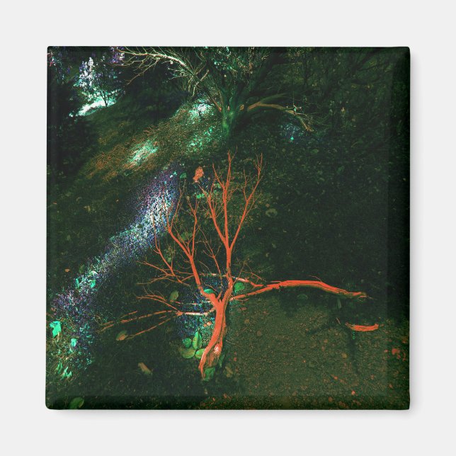 Íman Floresta Mística... (Frente)