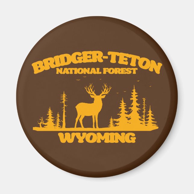 Íman Floresta Nacional Bridger-Teton (Frente)