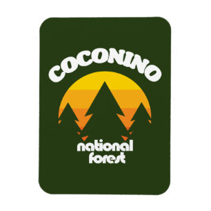 Íman Floresta Nacional Coconino