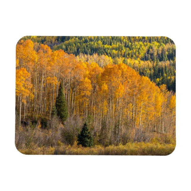 Íman Floresta Nacional de Gunnison (Horizontal)