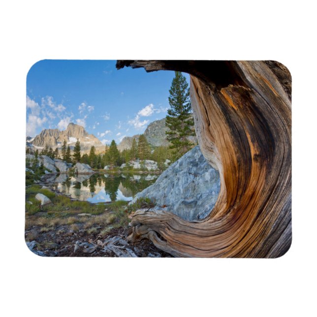 Íman Floresta Nacional de Inyo, Califórnia (Horizontal)