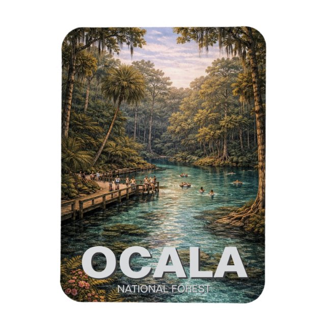 Íman Floresta Nacional de Ocala Viagem na Flórida (Vertical)