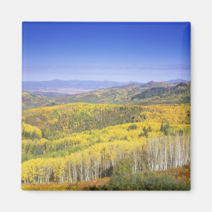 Íman Floresta Nacional de Roteiros no outono, próximo