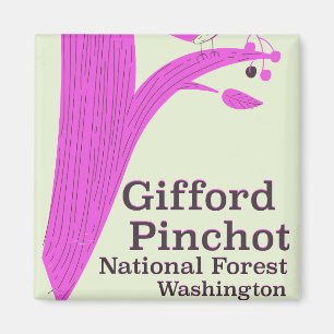 Íman Floresta Nacional Gifford Pinchot Washington