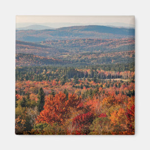 Íman Floresta Nacional White Mountains Nova Hampshire