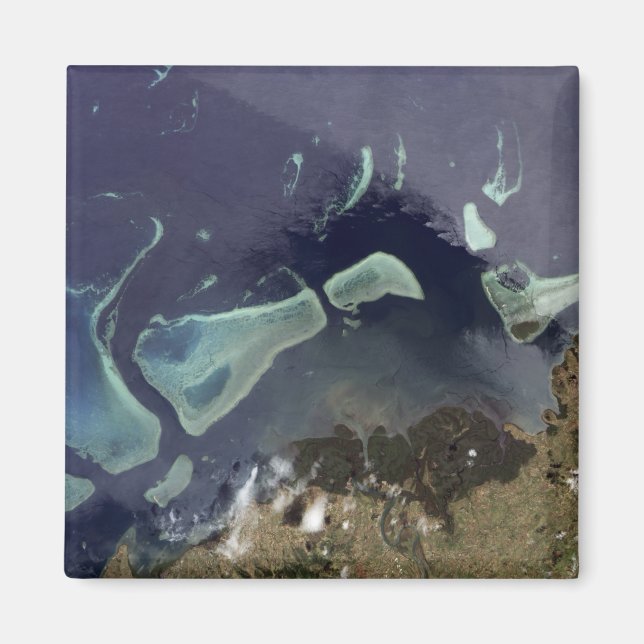 Íman Floresta verde profunda em terra (Frente)