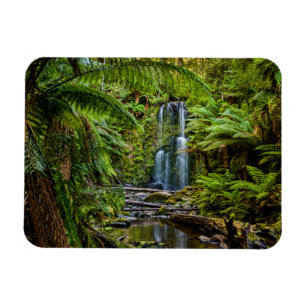 Íman Florestas   Beauchamp Falls Austrália