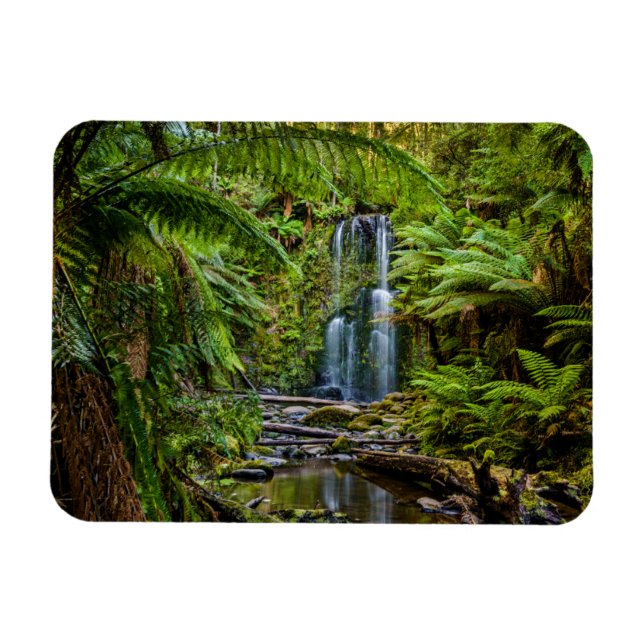 Íman Florestas | Beauchamp Falls Austrália (Horizontal)