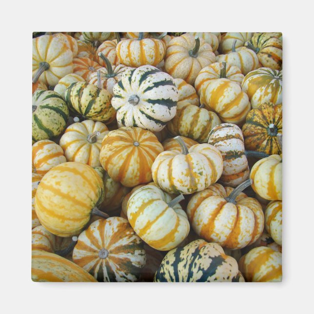 Íman Florestas de Colheita Laranja e Verde (Frente)