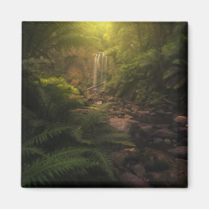 Íman Florestas Destaques da luz solar Cascata