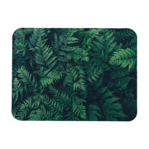 Íman Florestas Ferns De Madeira
