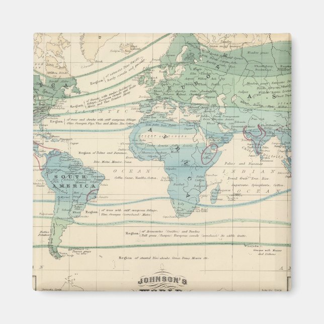 Íman Florestas, Plantas Úteis e Minerais (Frente)