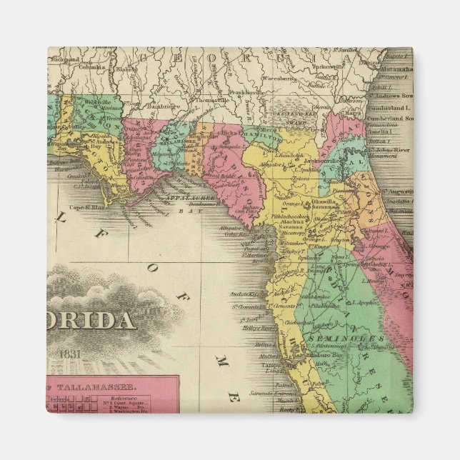 Íman Flórida 10 (Frente)