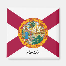 Íman Florida Flag & Florida State USA / esportes