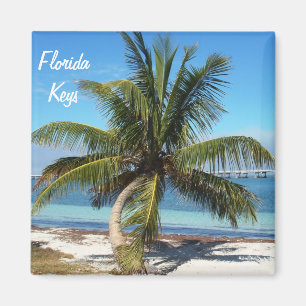 Íman Flórida Keys Bahia Honda State Park Palm Magnet