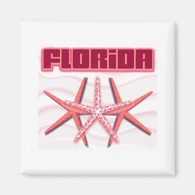 Íman Florida Starfish (Frente)