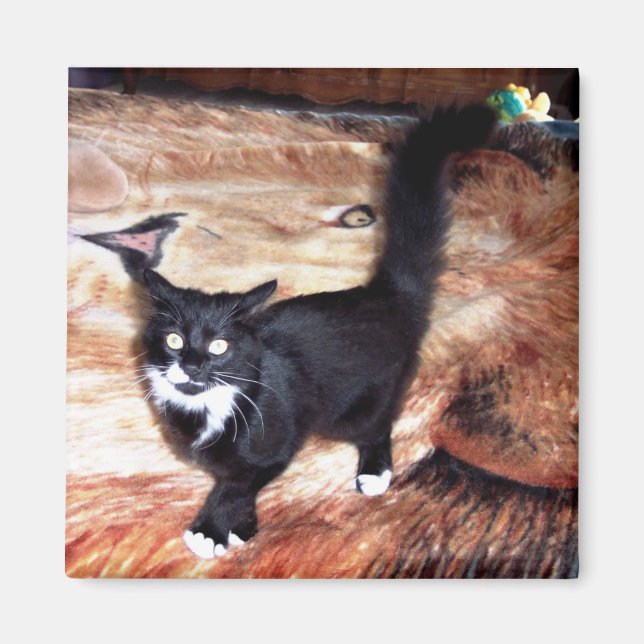 ÍMAN FLOSSIA (Frente)