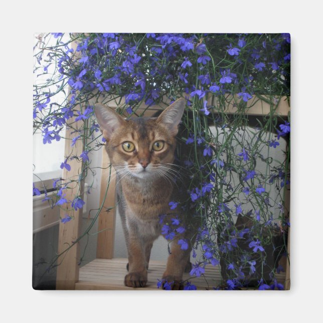 Íman Flower Cat (Frente)
