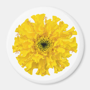 Íman Flower Chemistry Magnet Marigold