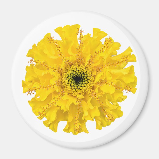 Íman Flower Chemistry Magnet Marigold (Frente)