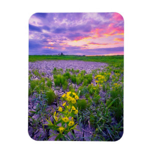 Íman Flowers   North Dakota Red River Valley
