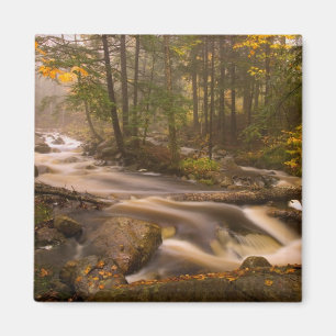 Íman Flowing Streams Appalachian Trail Vermont