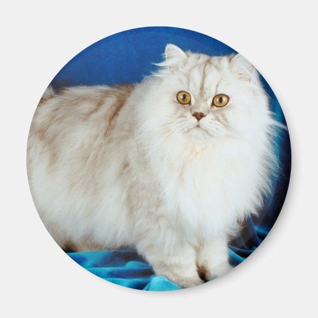 Íman Fluffy Cat (Frente)