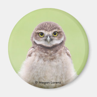 Íman Fluffy Owlet Magnet