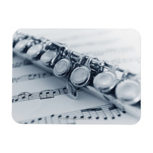 Íman Fluto Detalhado