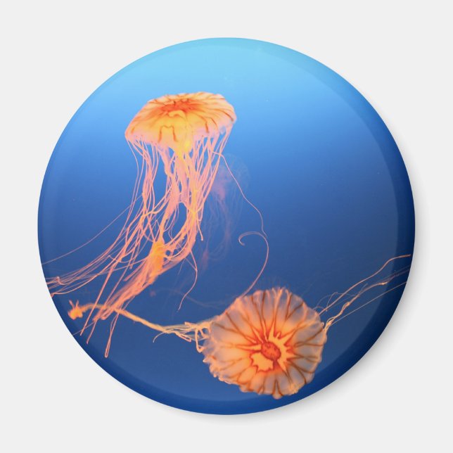 Íman Flutuando Juntos (Frente)