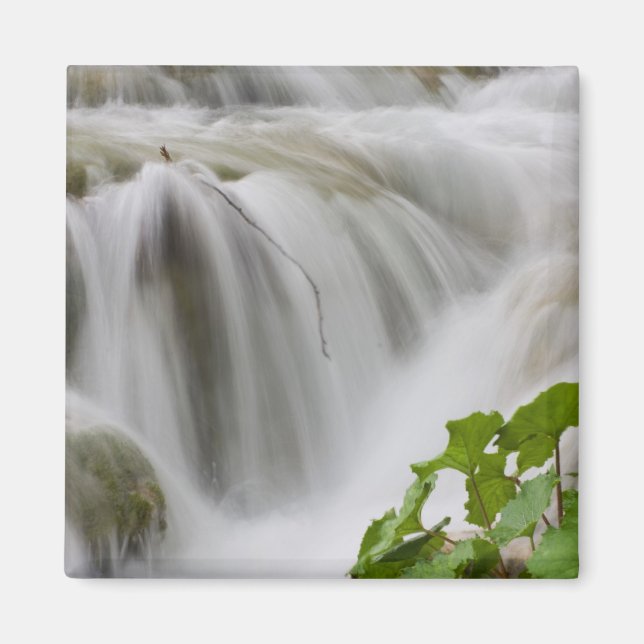 Íman Fluxo (Frente)