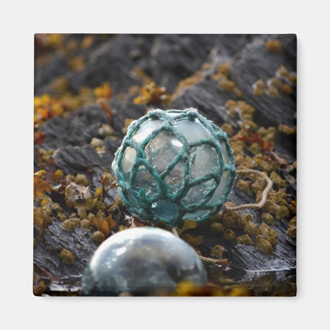 Íman Fluxos de pesca na piscina de maré, no Alasca (Frente)