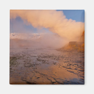 Íman Fly Geyser no Deserto Black Rock