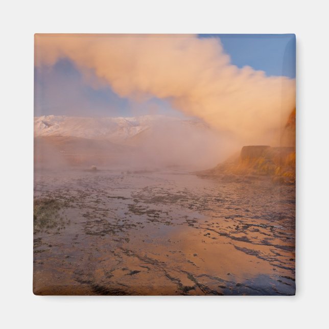 Íman Fly Geyser no Deserto Black Rock (Frente)