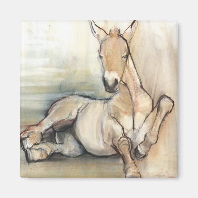Íman Foal 2012 (Frente)
