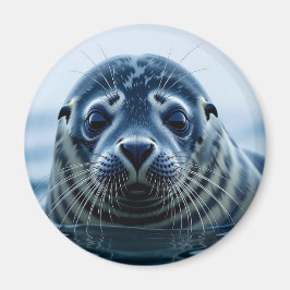 Íman Foca Fofa de Perto