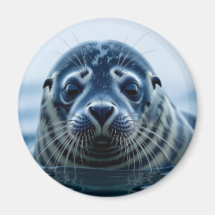 Íman Foca Fofa de Perto