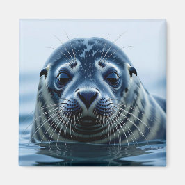 Íman Foca Fofa de Perto