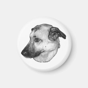 Íman Foco Natural, Ímã de Cachorro