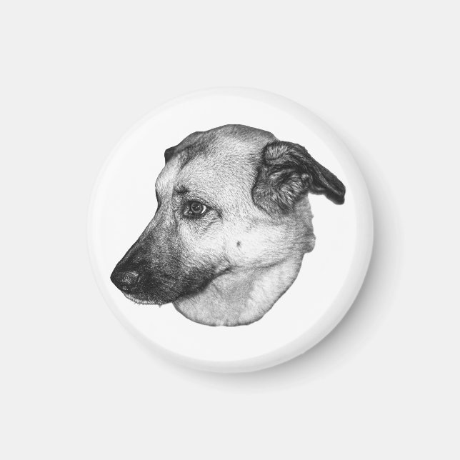 Íman Foco Natural, Ímã de Cachorro (Frente)
