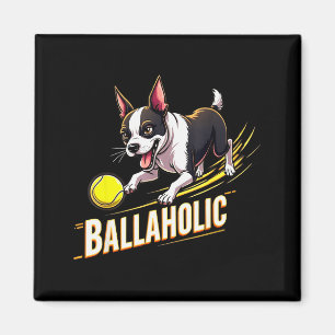 Íman Fofinho Ballaholic Boston Terrier Cachorro Persegu