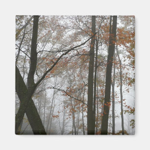 Íman Foggy Fall na Pensilvânia Autumn Nature