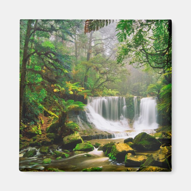 Íman Fogueiras de ferradura cercadas pela floresta trop (Frente)